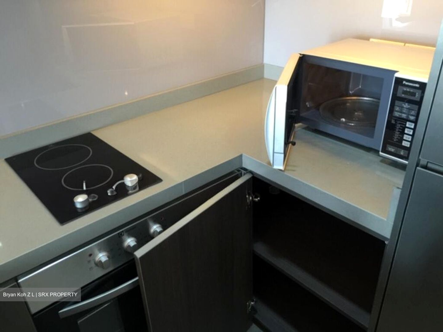 Katong Regency (D15), Apartment #532482491